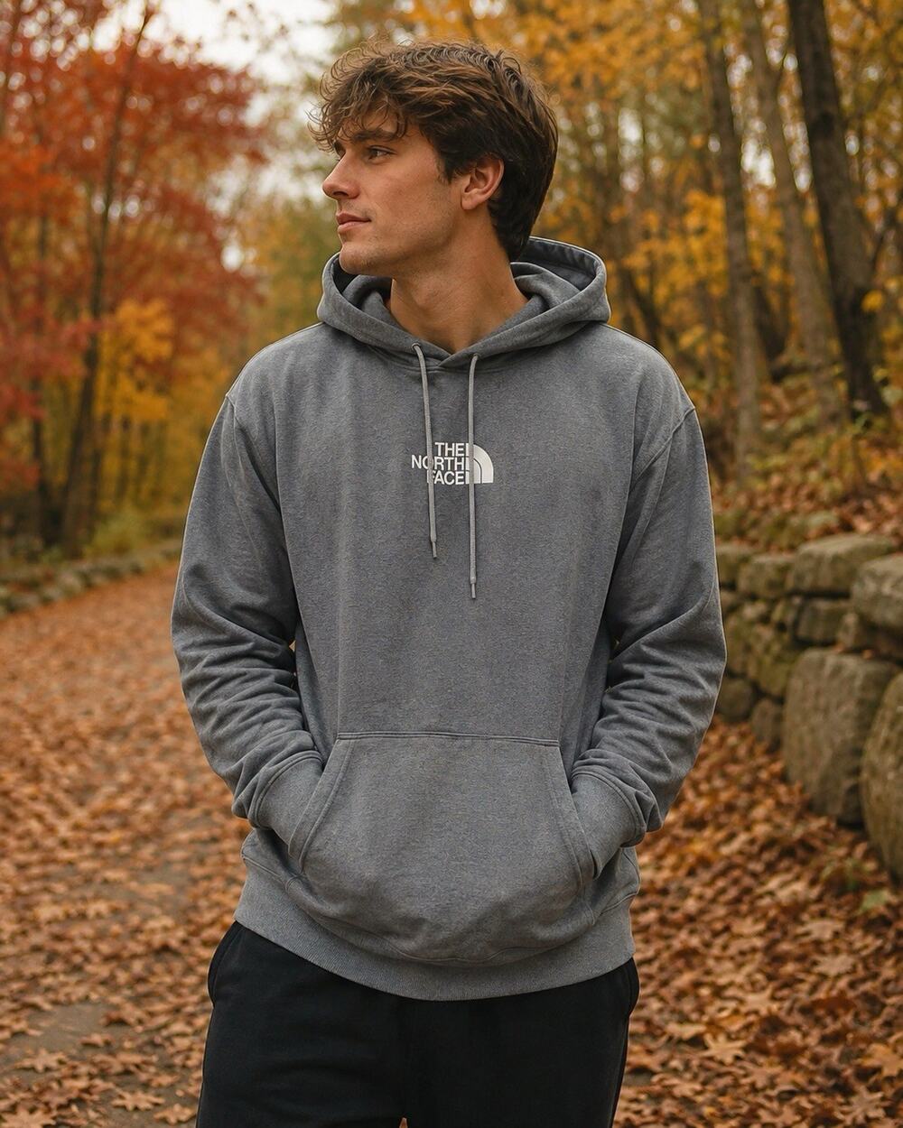 C22 The North Face Logo Pullover Hoodie Gray XL